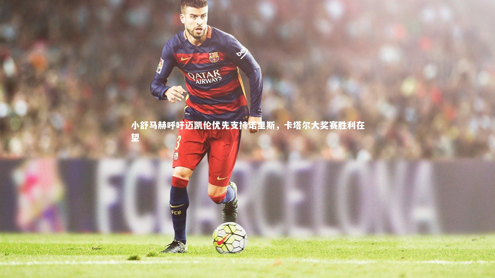 C7娱乐大舞台：小舒马赫呼吁迈凯伦优先支持诺里斯，卡塔尔大奖赛胜利在望